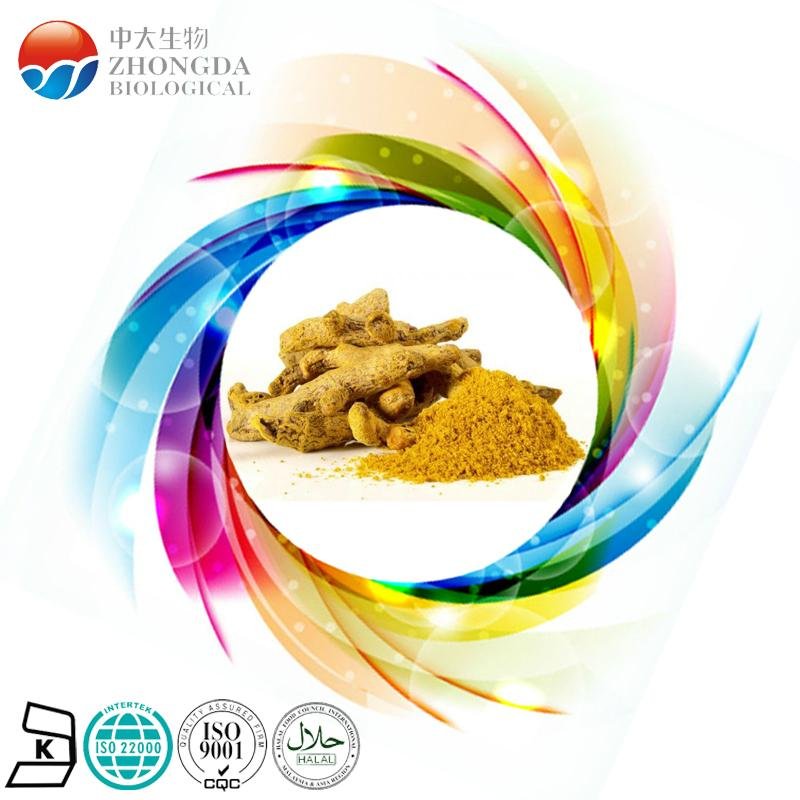natural food color curcumin pigment supplier 3