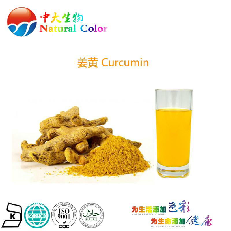 natural food color curcumin pigment supplier 5