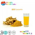natural food color curcumin pigment supplier 5