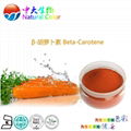 天然食品着色剂β-胡萝卜素 3