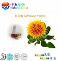 natural food color safflower yellow pigment supplier 4