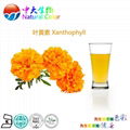 natural food colour lutein pigments supplier 2