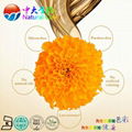 natural food colour lutein pigments supplier 3