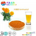 natural food colour lutein pigments supplier 5