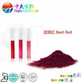 natural food color/colour beet red pigment supplier 2