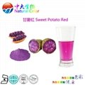 天然食品着色剂紫甘薯红 2