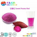 natural food colour/color purple sweet potato red pigment supplier/manufacturer 3
