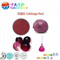 natural food dye cabbage red supplier