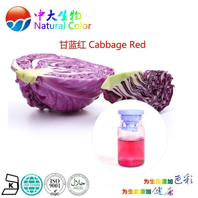 natural food dye cabbage red supplier/factory 4