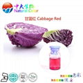 natural food dye cabbage red supplier/factory 4