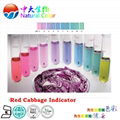 natural food dye cabbage red supplier/factory 5