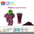 natural food color/colour grape skin red