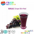 natural food color/colour grape skin red pigment supplier 2