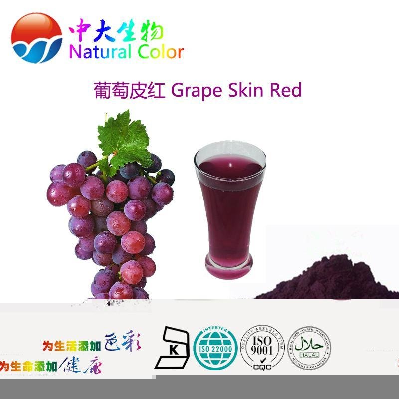 natural food color/colour grape skin red pigment supplier 3