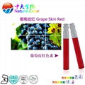 natural food color/colour grape skin red pigment supplier 4