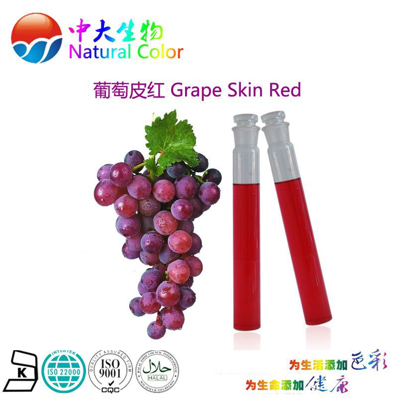 natural food color/colour grape skin red pigment supplier 5
