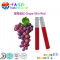 natural food color/colour grape skin red pigment supplier 5