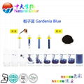 natural food color/colour gardenia blue pigment supplier 2