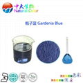 natural food color/colour gardenia blue pigment supplier 3