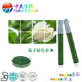 natural food color/colour gardenia green pigment supplier 2