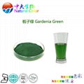 natural food color/colour gardenia green pigment supplier 3