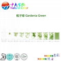 natural food color/colour gardenia green pigment supplier 4