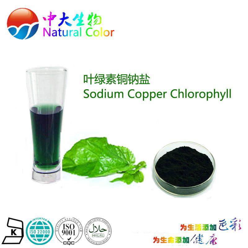 natural food color/colour chlorophyll pigment supplier