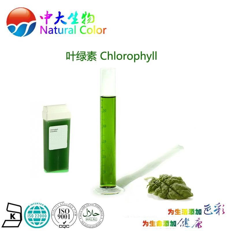 natural food color/colour chlorophyll pigment supplier 3