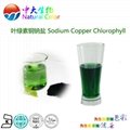 natural food color/colour chlorophyll pigment supplier 4