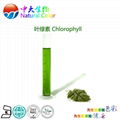 natural food color/colour chlorophyll pigment supplier 5