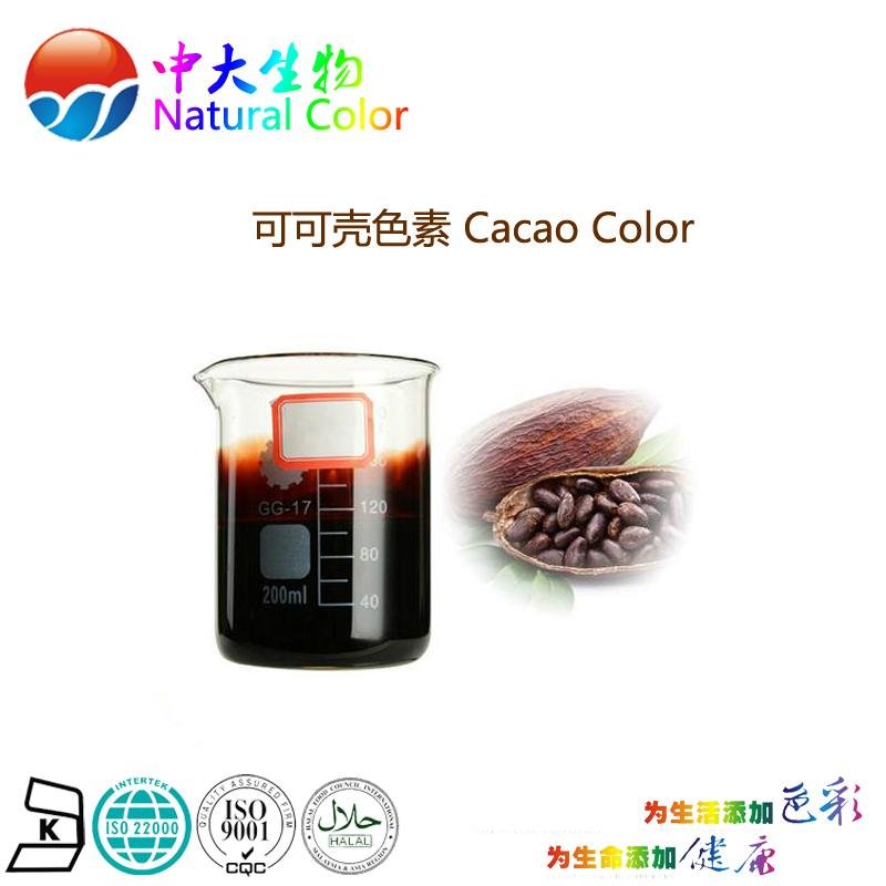 natural food pigment cacao color supplier