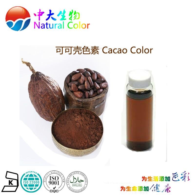 natural food pigment cacao color supplier 2