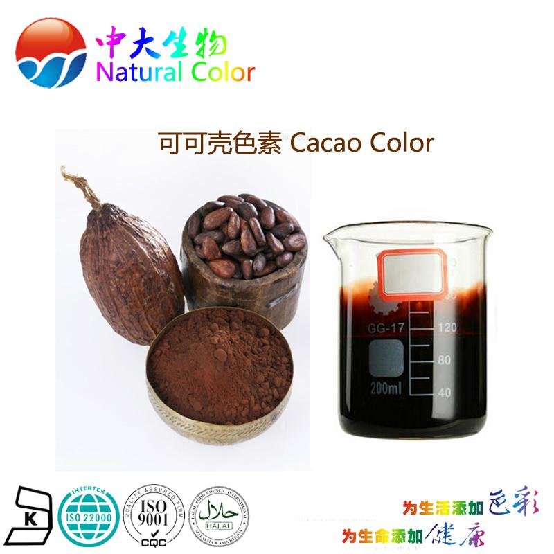 natural food pigment cacao color supplier 3