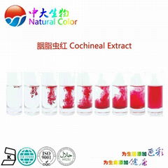 natural food color cochineal extract pigment supplier