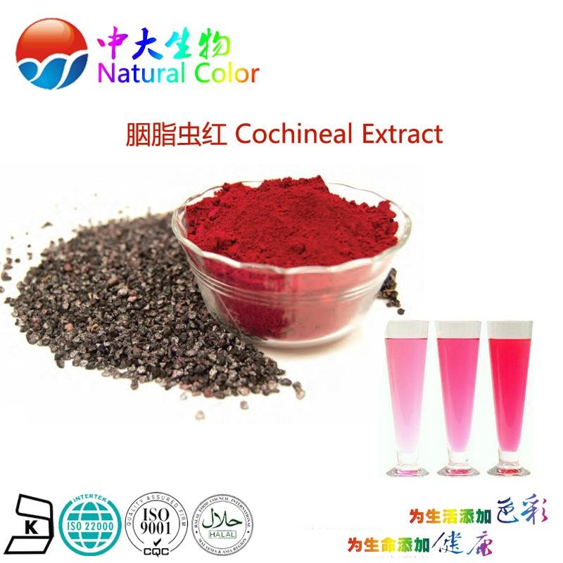 natural food color cochineal extract pigment supplier 3