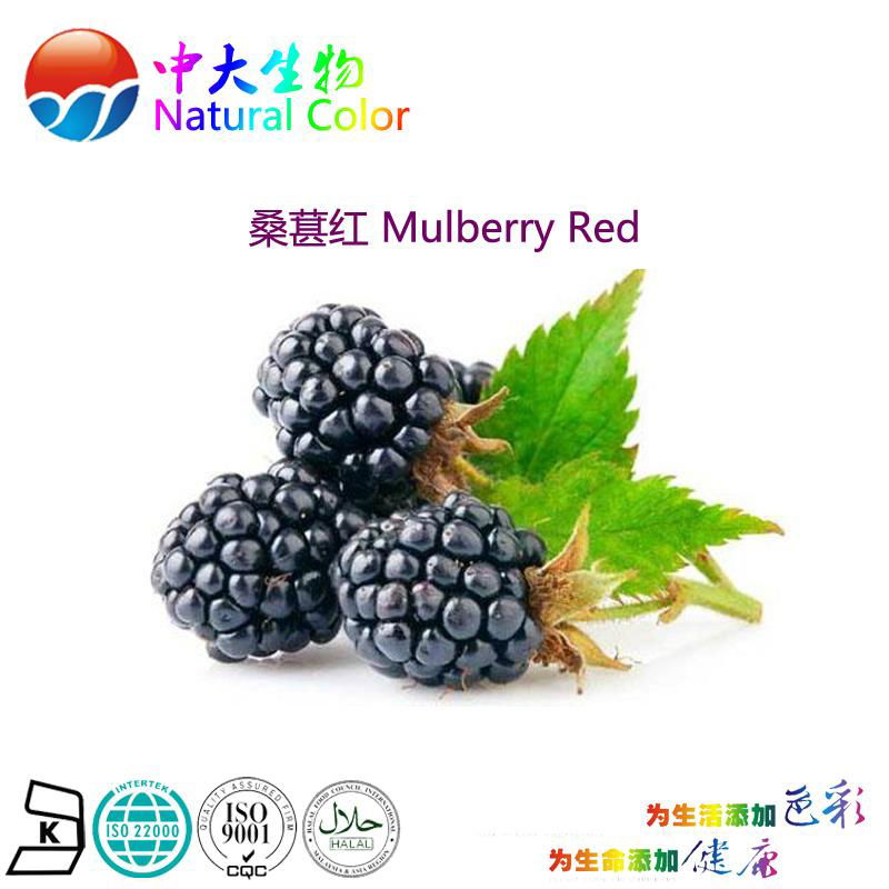 natural food color/colour mulberry red pigment supplier