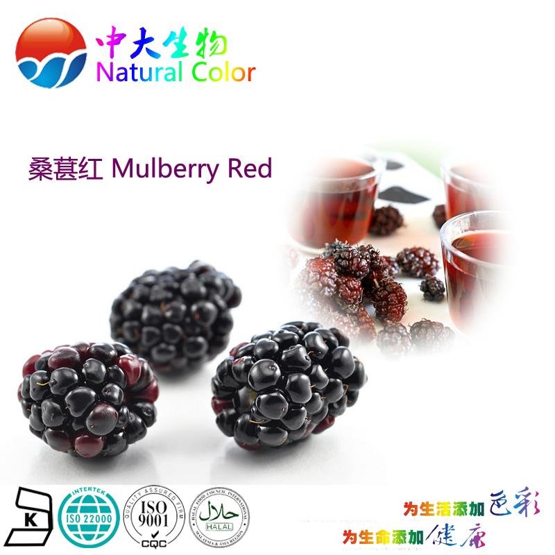 natural food color/colour mulberry red pigment supplier 2