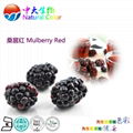 natural food color/colour mulberry red pigment supplier 2