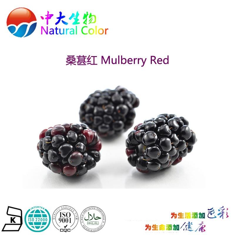 natural food color/colour mulberry red pigment supplier 3