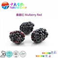 natural food color/colour mulberry red pigment supplier 3