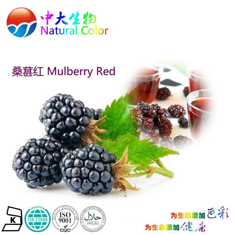 natural food color/colour mulberry red pigment supplier 4