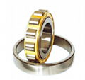 SL Cylindrical Roller Bearings