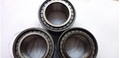 SL bearings cylindrical roller bearings