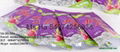 A NEW PRODUCT Freeze Dried Dragon Fruit Chips From Vietnam 3