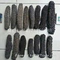 Dried Sea Cucumber From Vietnam Black Prickly Fish Sand Fish White Teat Fish 1