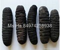 Dried Sea Cucumber From Vietnam Black Prickly Fish Sand Fish White Teat Fish 2