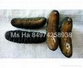 Dried Sea Cucumber From Vietnam Black Prickly Fish Sand Fish White Teat Fish 3