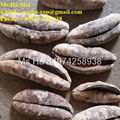 Dried Sea Cucumber From Vietnam Black Prickly Fish Sand Fish White Teat Fish 6