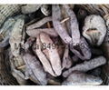 Dried Sea Cucumber From Vietnam Black Prickly Fish Sand Fish White Teat Fish 5