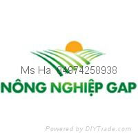 GAP AGRICULTURE JSC 